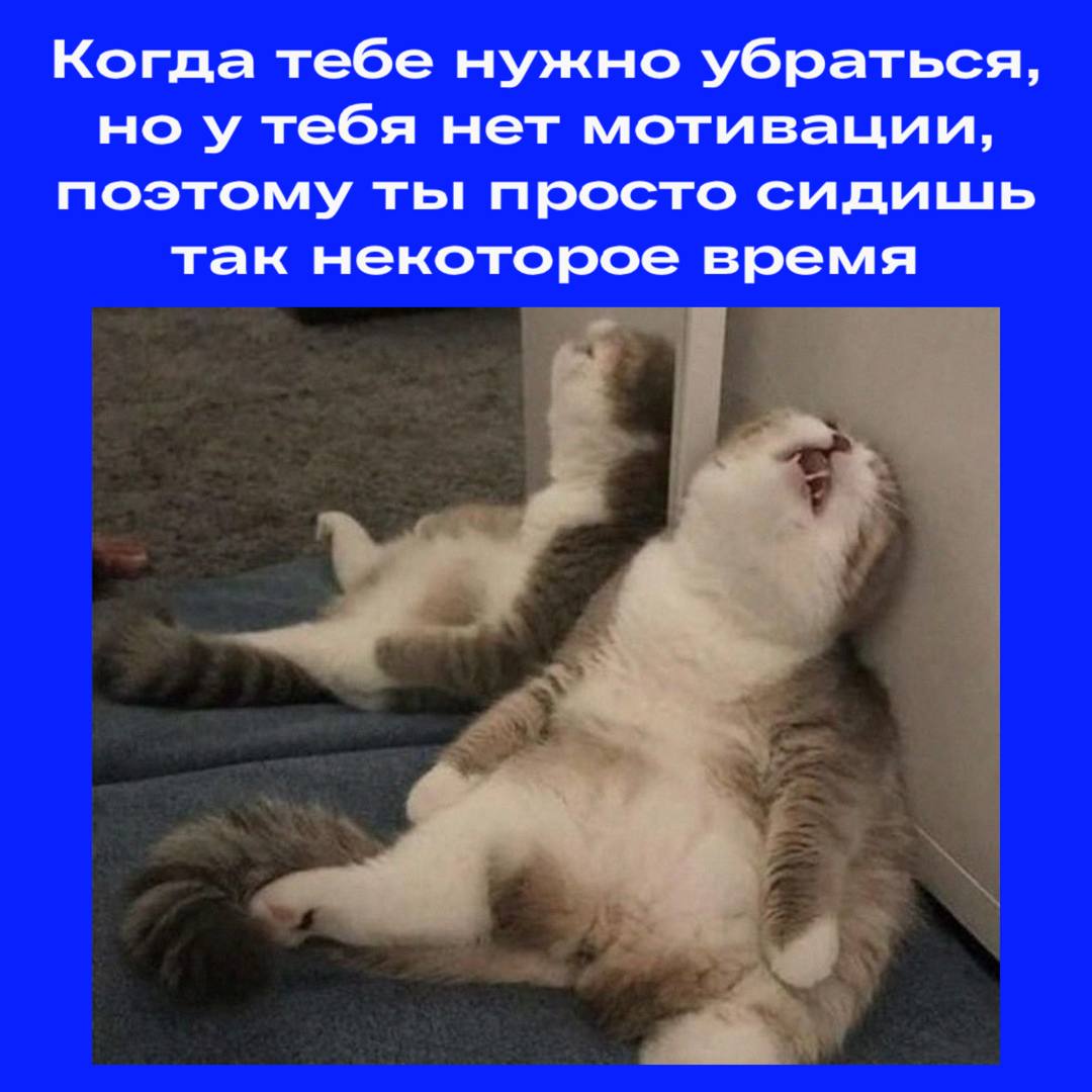Понедельник опять