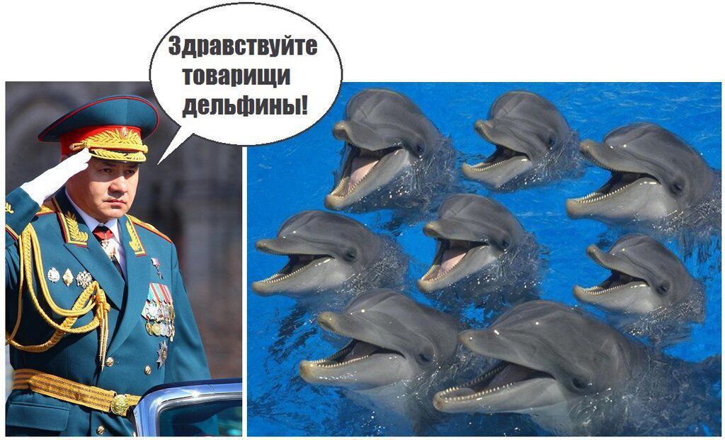 Здравствуйте товарищи картинки