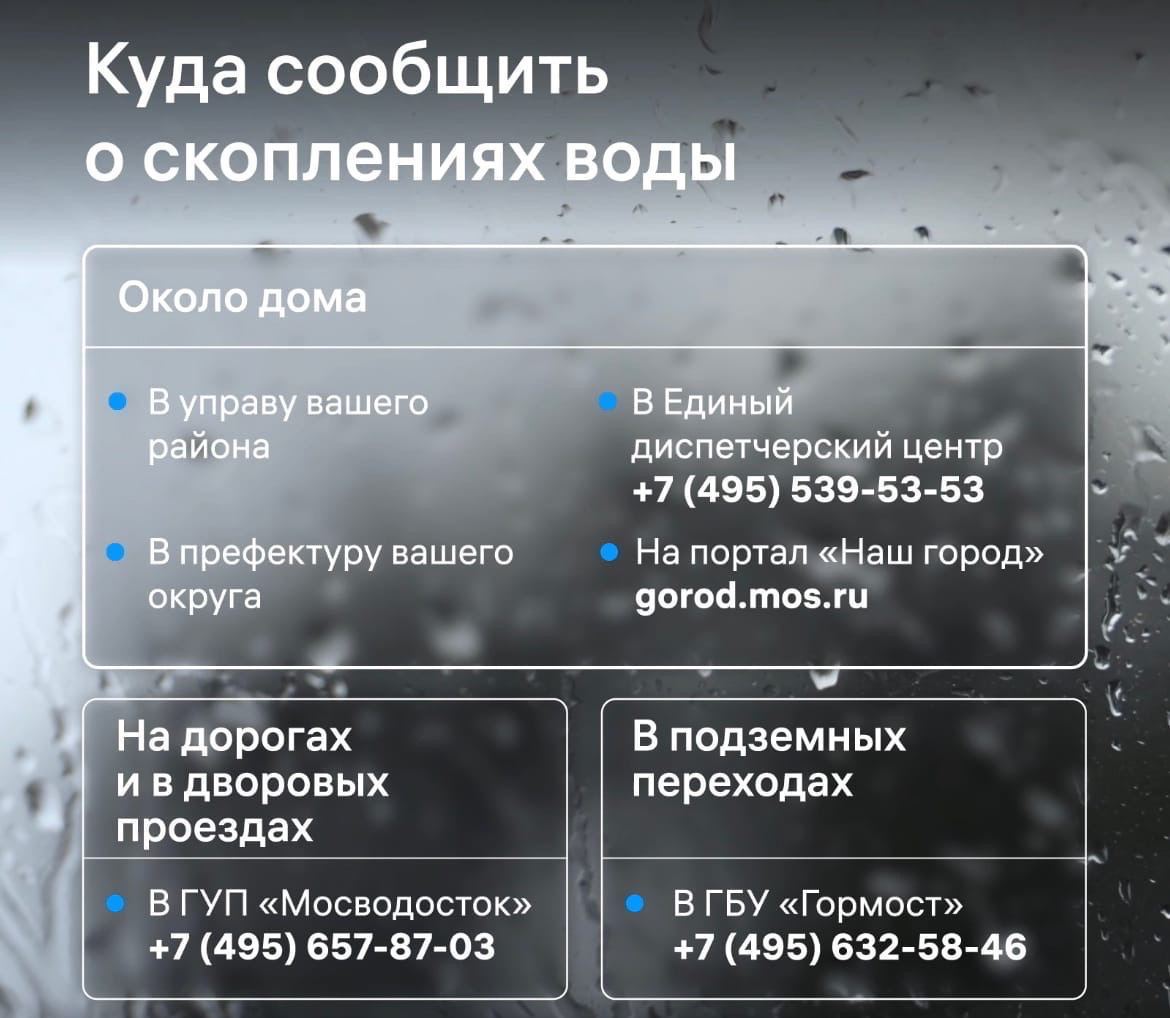 Судя по погоде, дождь может пойти в любой момент 😒 Ловите памятку, куда об...