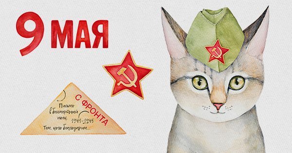 Кот в пилотке рисунок