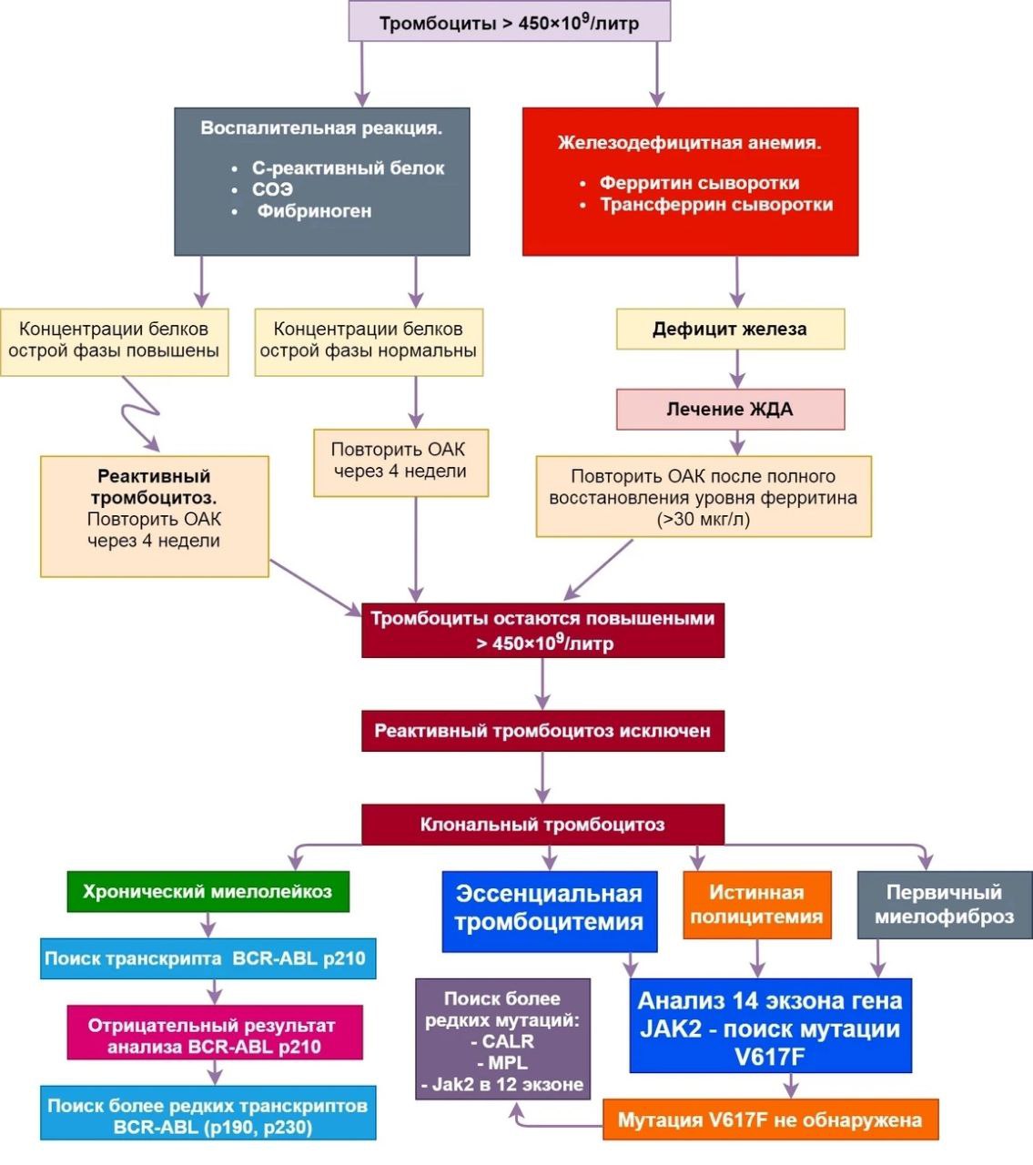 Эссенциальная тромбоцитемия диета за неделю Эссенциальная тромбоцитемия диета за неделю