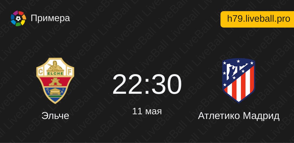 Liveball венгрия