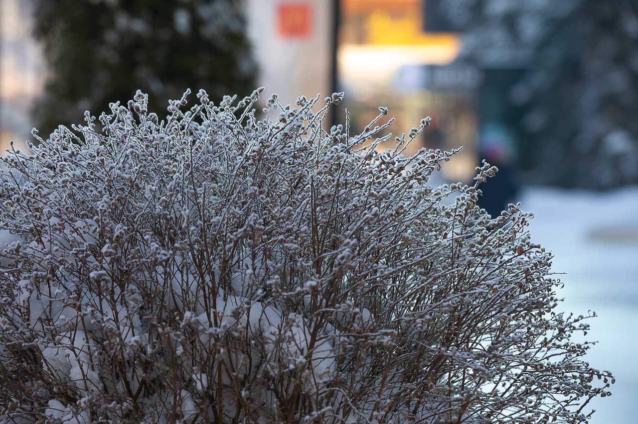Потепление в январе. Потепление в Челябинске =17.