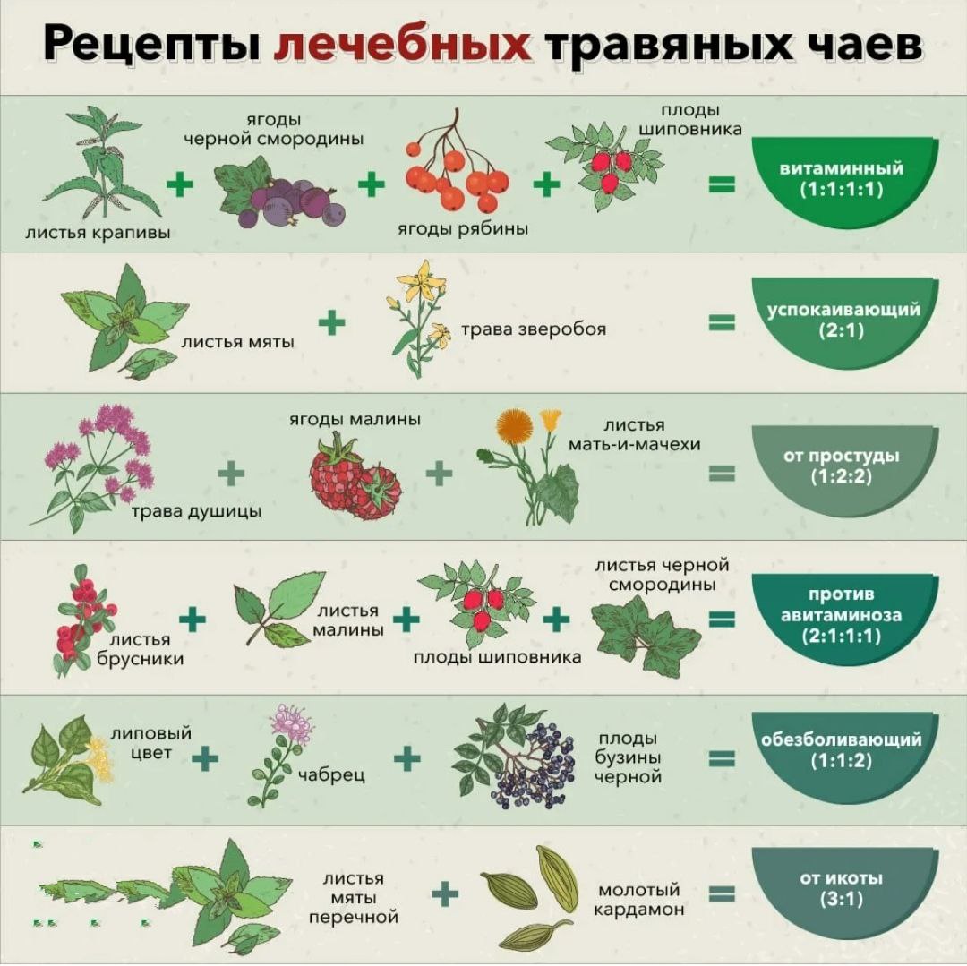 Проект полезные травы