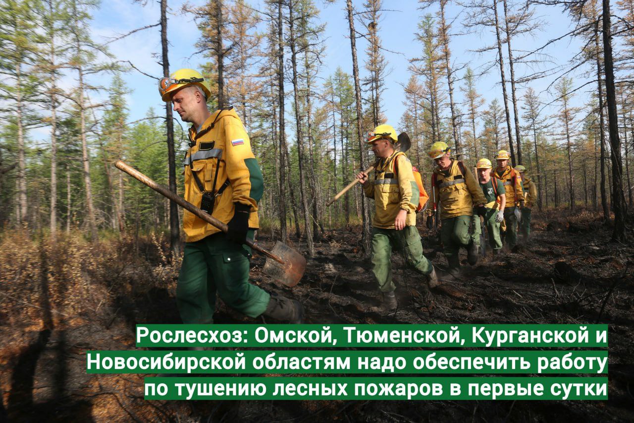 Рослесхоз. Лесные пожары в Тюменской области. Минприроды Рослесхоз продление пожары. Рослесхоз природные условия и компоненты окружающей. Тушить лес в Тюмени.