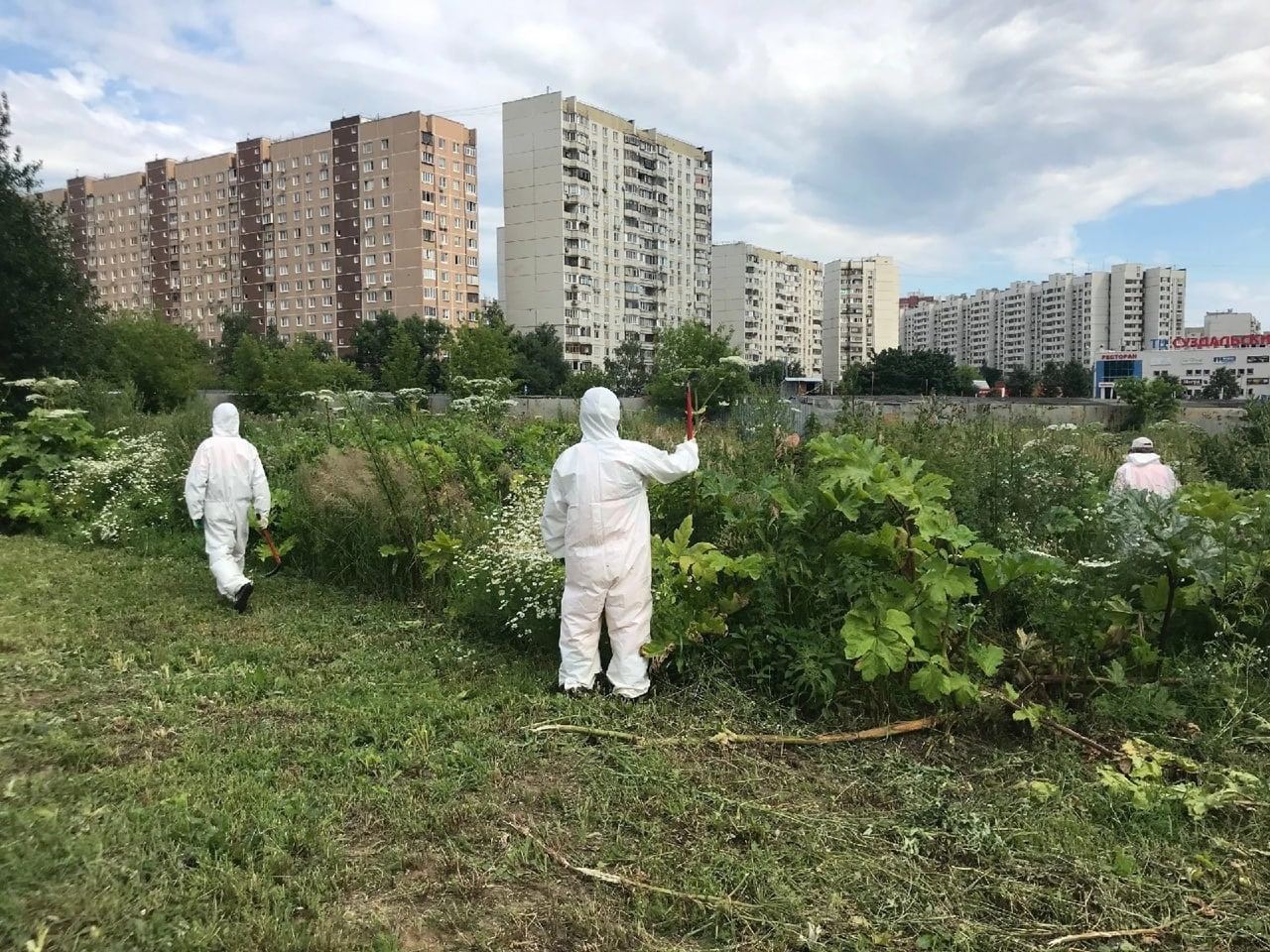 микрорайон солнцево. митино 2000 год. микрорайон перспективный ставрополь. реновация в солнцево. новый микрорайон улицы столицы поля сражений.