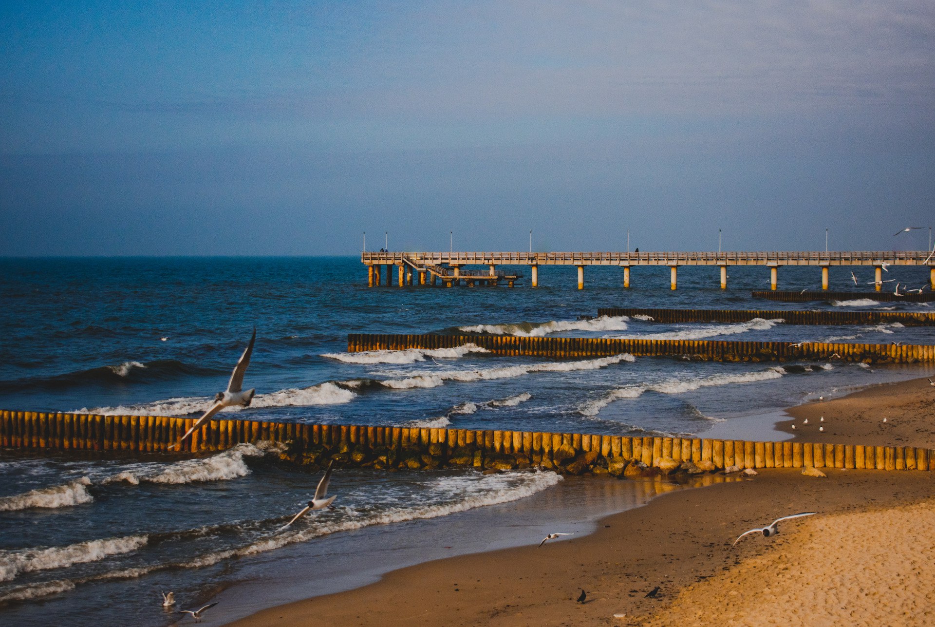 Зеленоградск. Калининград море. Зеленоградск море. Море в Калининграде в сентябре.