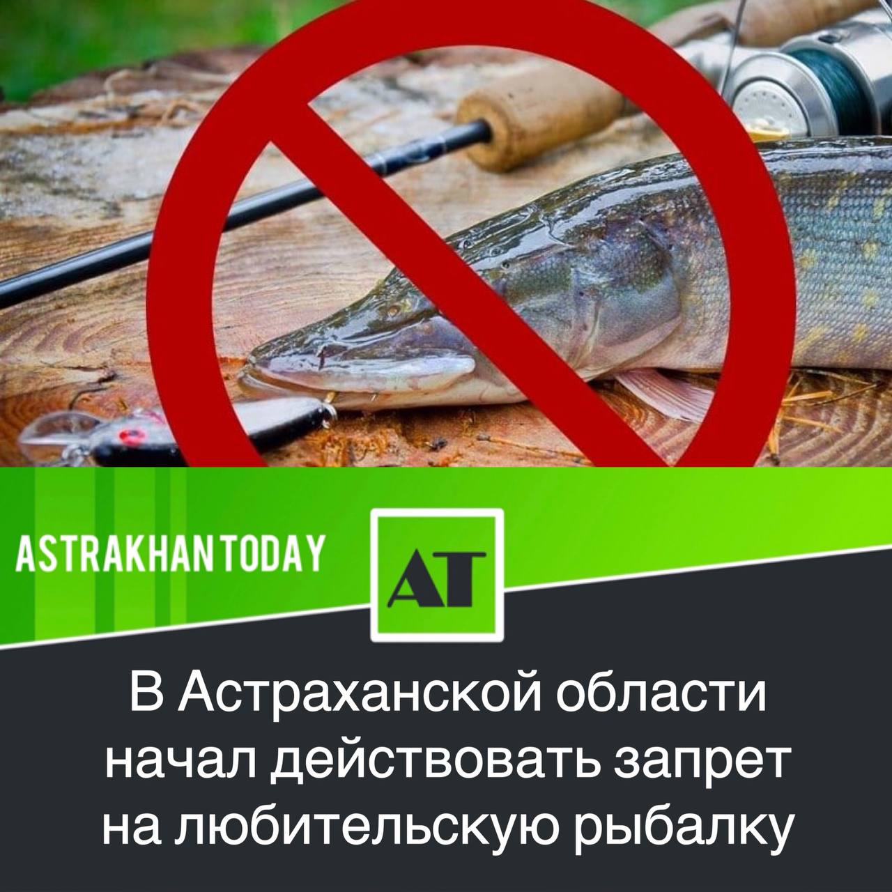 Рыболовный запрет 2025 московская область Рыболовный запрет 2025 московская область