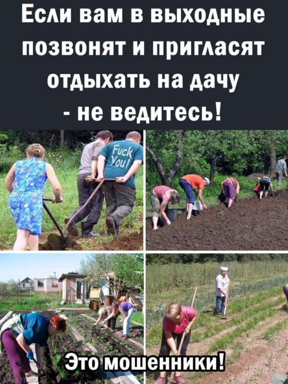 Картинки Про Дачу