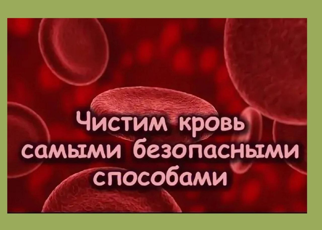 Чем почистить кровь в организме