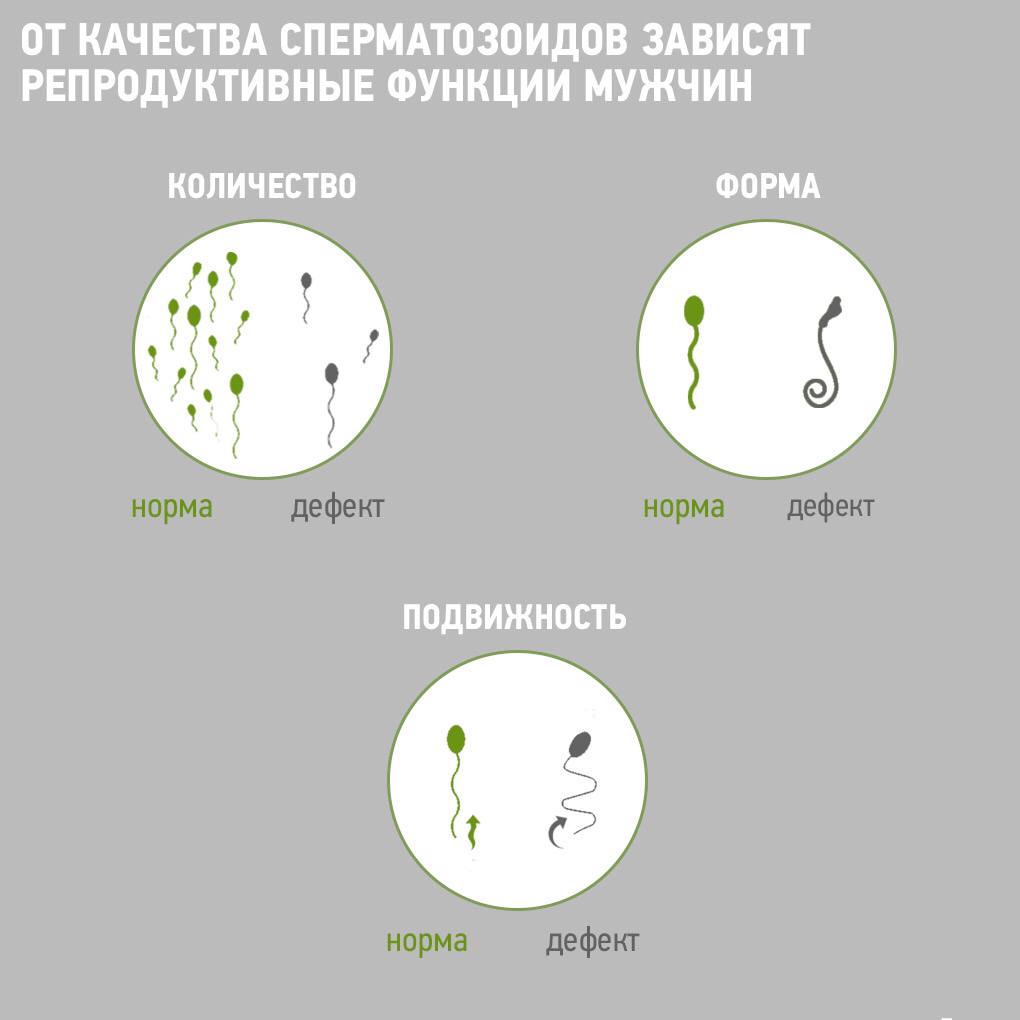 Девушка с мужской стрижкой закусила мужской спермой после секса