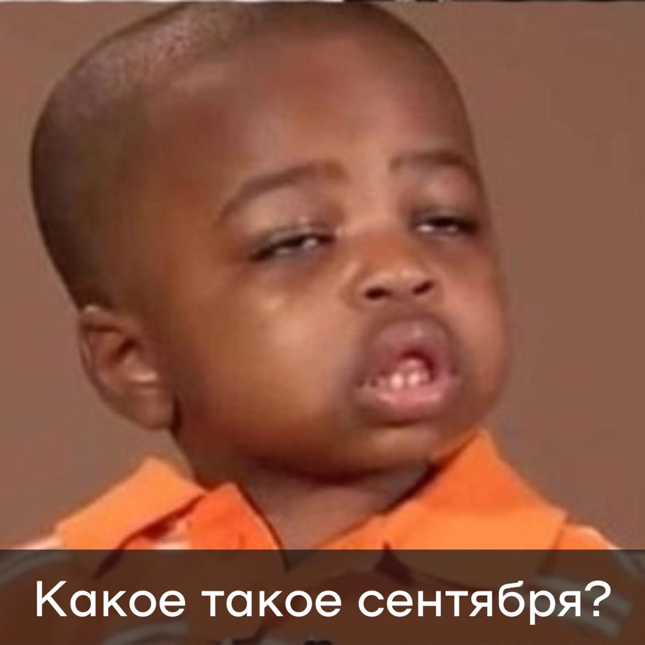 Дай знать где ты мем Post #18109 - Абзац (@absatzmedia)