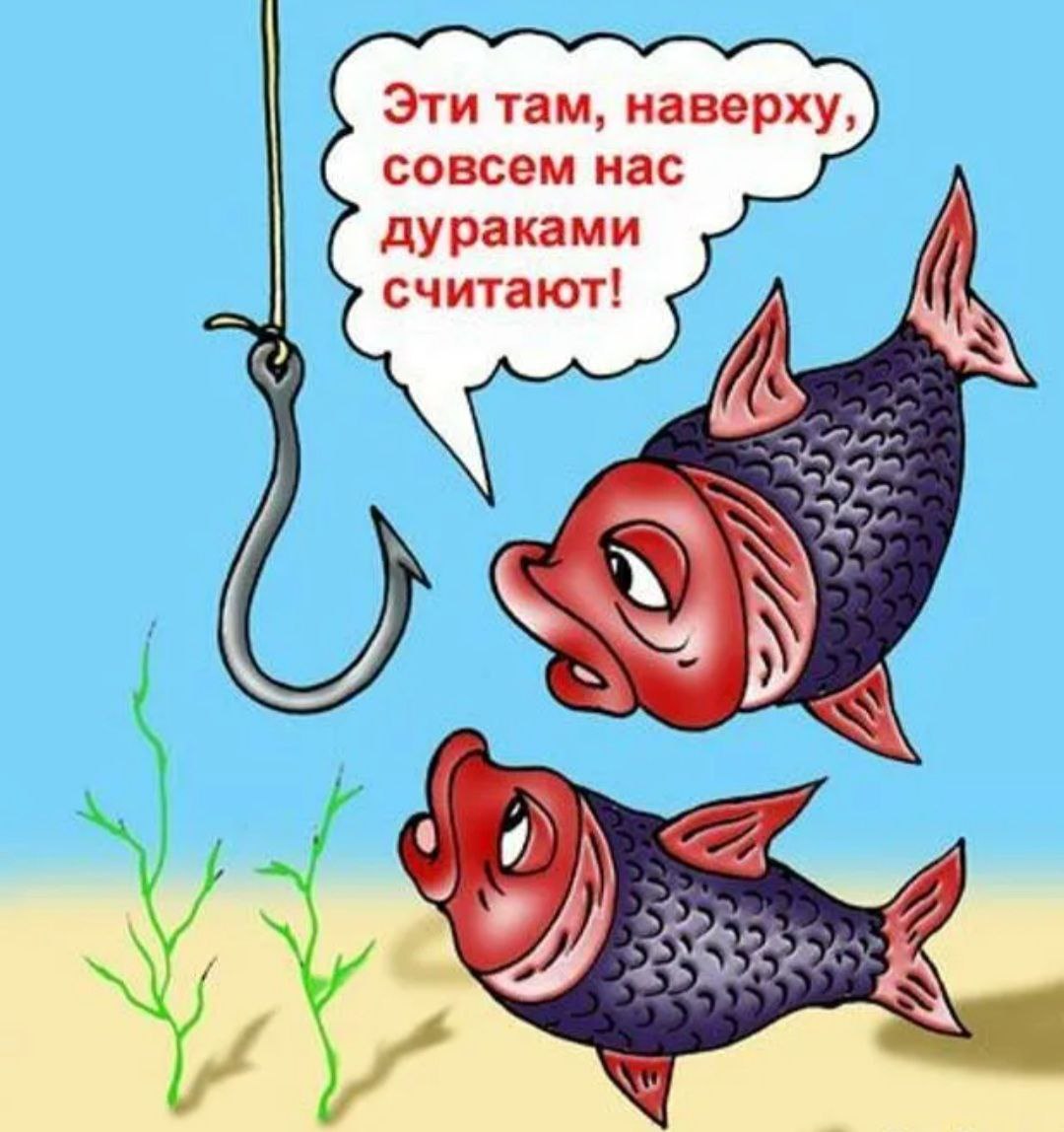 Смешные фразы про рыбу