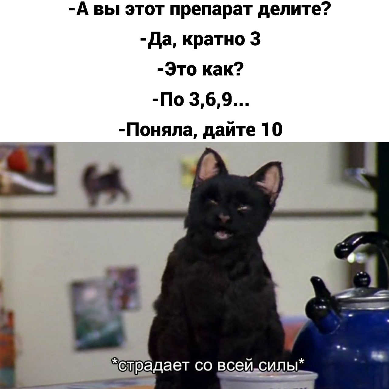 Сабрина маленькая ведьма кот салем