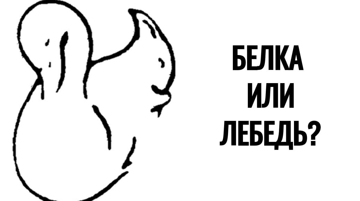 Ваше состояние души тест. Двойственные изображения. Оптические иллюзии двойственные изображения. Лебедь или белка иллюзии. Двойственные изображения для детей.