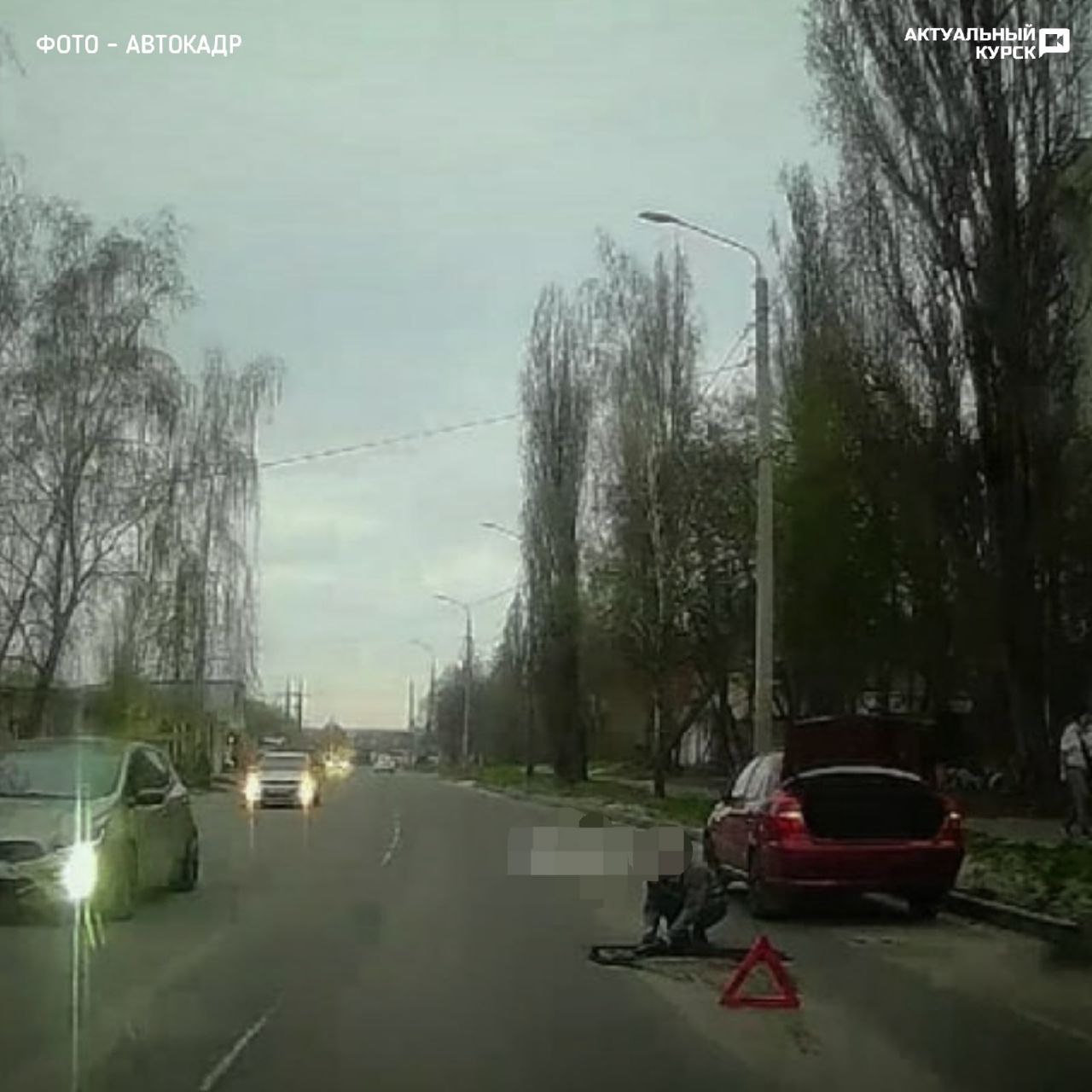 Курск в ак. Курск в ак