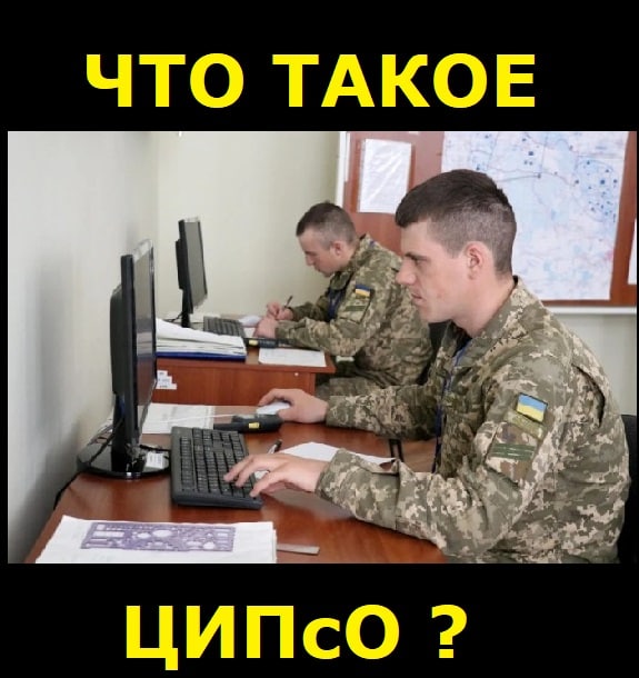 Что такое ципсо. ЦИПСО что это.