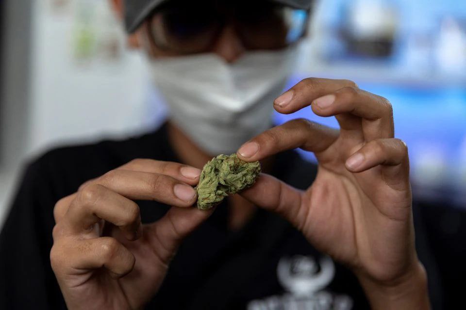 Наказание за курение марихуаны в тайланде прага марихуана где купить