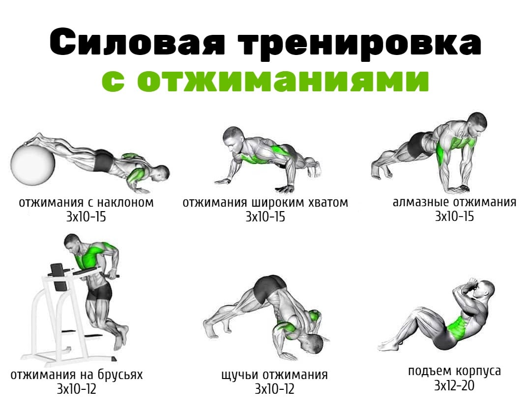 Как начать отжиматься с нуля