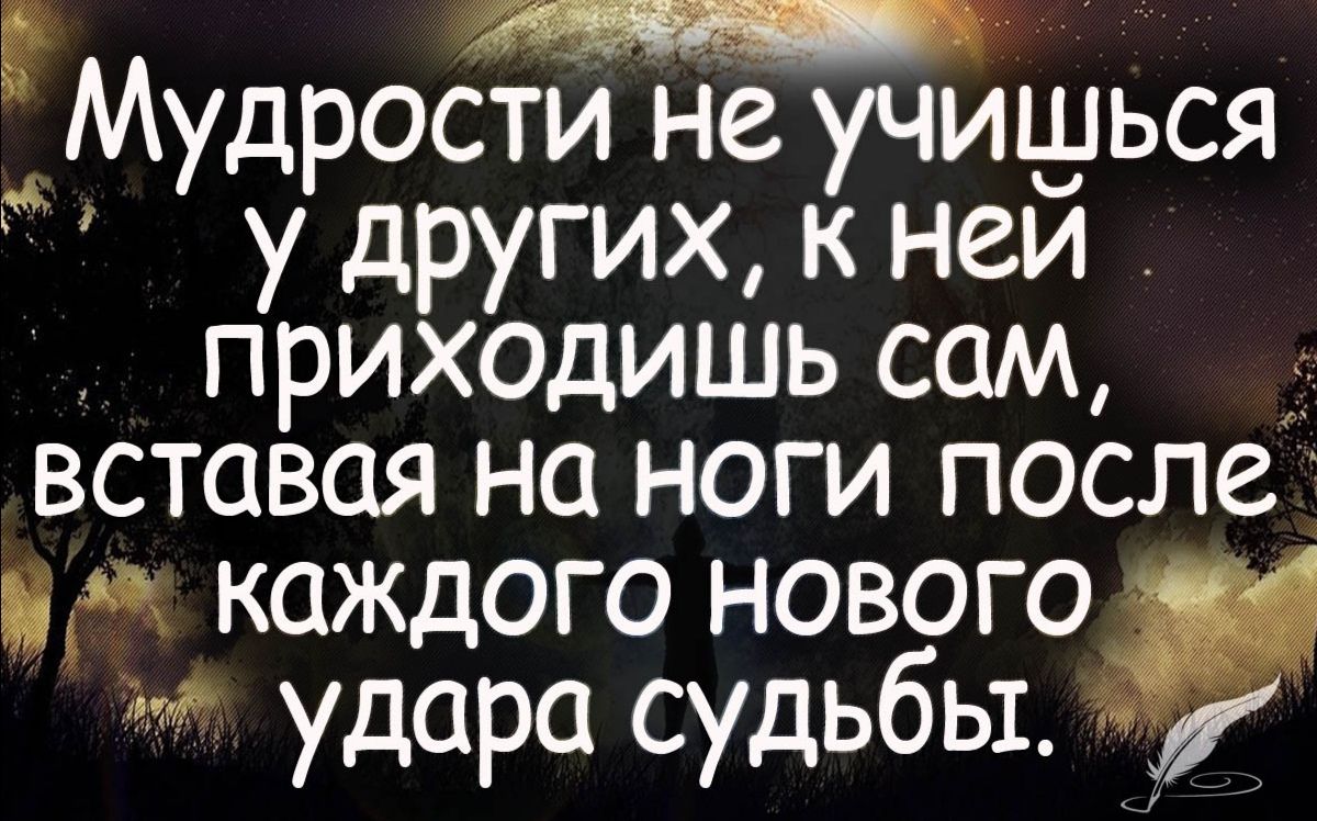 Пример мудрости из жизни Публикация #3980 - ПСИХОЛОГИЯ Psychology (@psyhologchannel)