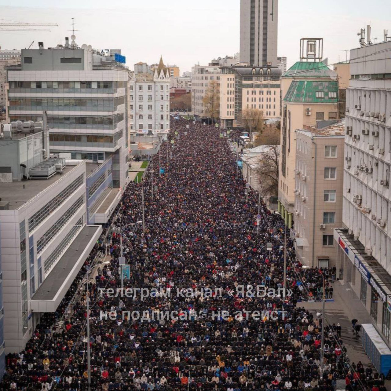 курбан байрам в москве бараны