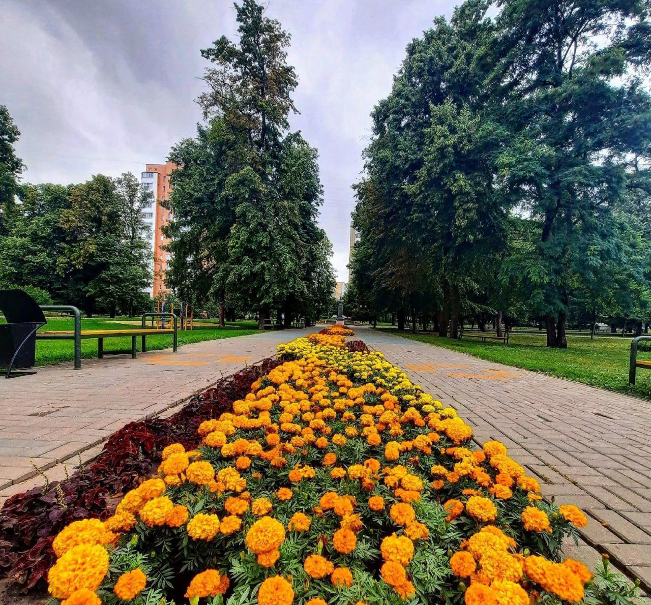 Погода в тамбовском. Август фото. Тамбов в апреле. Красивый Тамбов.