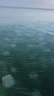 Как сейчас выглядит азовское море
